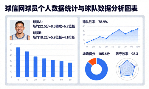 球信网球员个人数据统计与球队数据分析图表