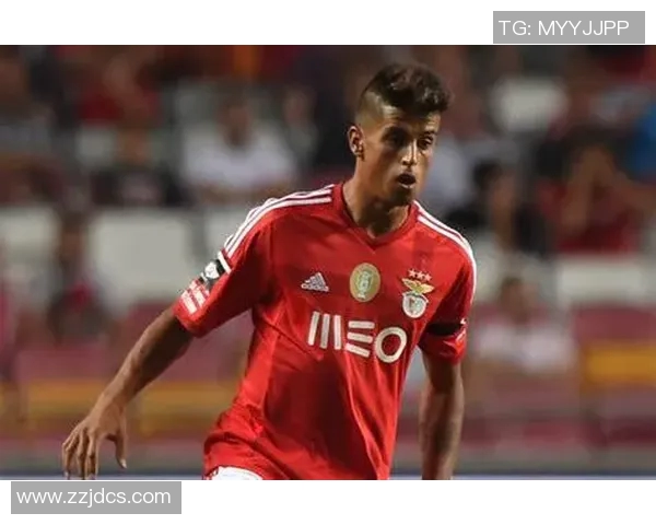 坎塞洛：从边缘球员到世界级后卫的华丽转身与职业生涯新篇章